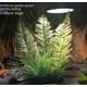thumbnail image 2 of Planta de simulación de caja para mascotas trepadoras Simulación de adornos de césped acuático Pecera Paisaje Césped acuático ornamental de plástico Hojas solubles en agua en bambú, 2 of 3