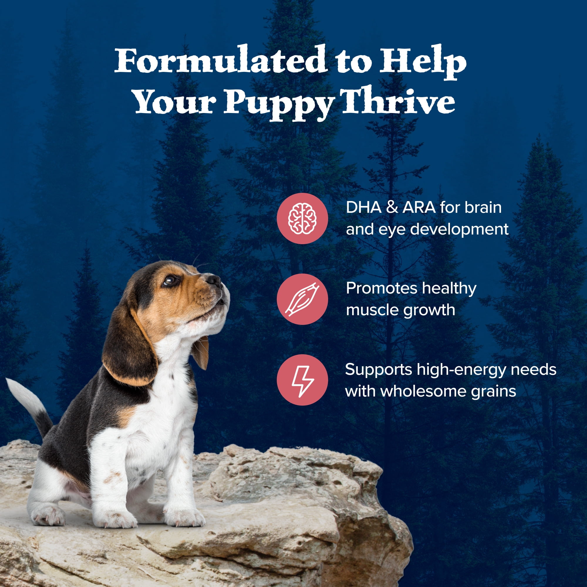 Blue Buffalo Wilderness High-Protein Natural Dry Food for Puppies, Salmon Recipe 4.5-lb. Bag
