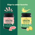 thumbnail image 2 of NOCHIOLA Creatina con Electrolitos, Sabor Lima-Lim&oacute;n, 5g Creatina por Porci&oacute;n, Sin Az&uacute;car, Endulzado con Stevia, 300g, 30 Porciones, 2 of 5