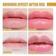 thumbnail image 5 of Bee Lip Balm Honey Pot, Honey Lip Mask Overnight Nourishing Hydrating Dry and Cracked Lip Scrubs Exfoliator Moisturizing Lip Sleeping Mask Reduces Lip, 5 of 5
