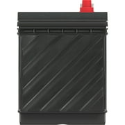 EverStart Maxx Marine Battery, Group Size 29DC 12 Volt, 845 CCA*