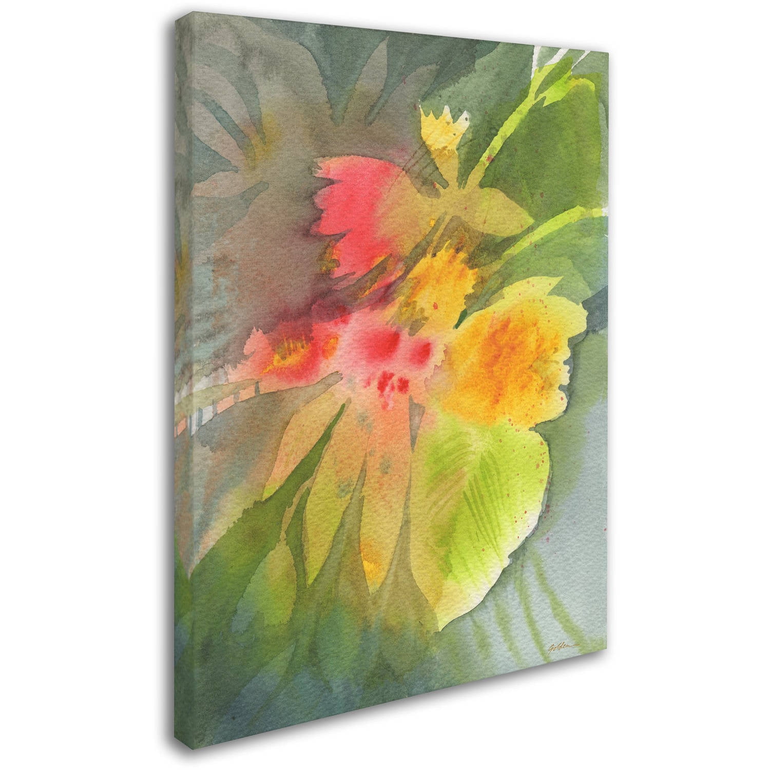 Trademark Fine Art 'Through Darkness Brightly' Canvas Art by Sheila Golden
