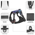 thumbnail image 3 of Naloa Hip-Hop DJ Dolphin Pet Harness Vest with Traction Rope, Adjustable No-Choke Dog Vest for Outdoor, Walking - Medium, 3 of 4