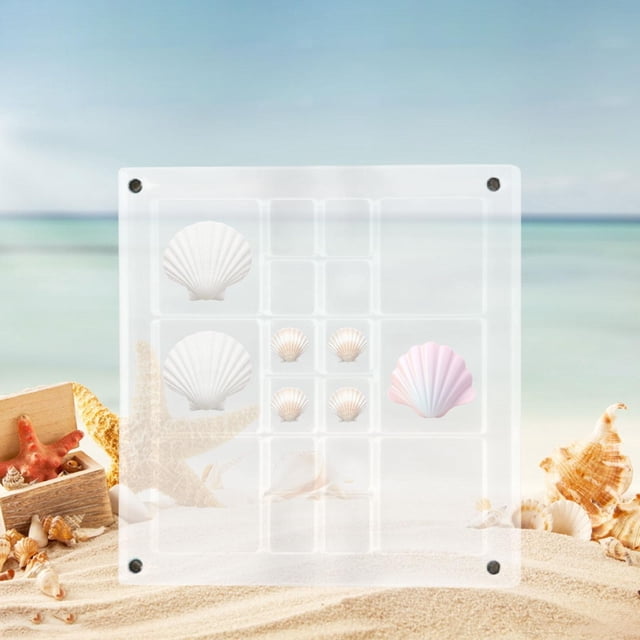 Caja de exhibición de concha acrílica, contenedor de almacenamiento con diseño de concha, 5,6x5,6 pulgadas, transparente decorativo, 18 rejillas para