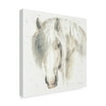 thumbnail image 2 of Trademark Fine Art 'Farm Friends VI Neutral' Canvas Art by Lisa Audit, 2 of 4