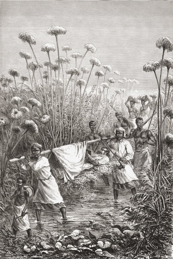 Dr David Livingstone Being Carried The Last Few Miles To The Village Of Tchitammbo Africa Shortly Before His Death David Livingstone 1813 To 1873 Scottish Missionary And Explorer From El Mundo En La M