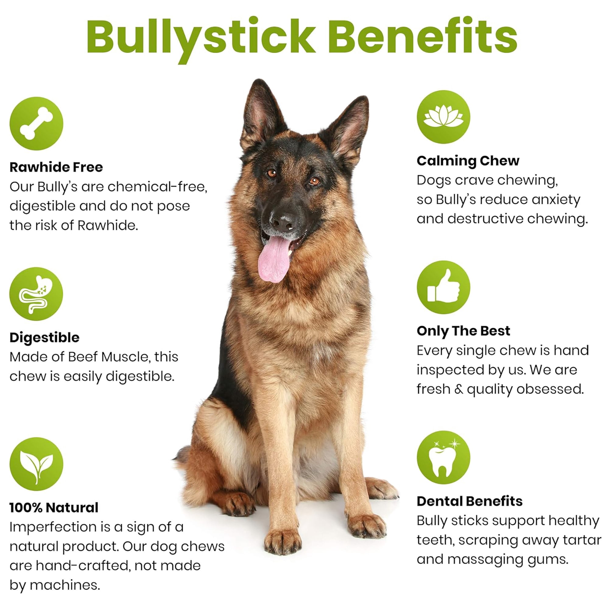 Sancho & Lola's: 6" Bully Sticks - Jumbo 5 Count - Dog Treat, Low-Odor Chew, High-Protein, Made with 100% Beef Pizzle, Hand-Selected in the USA