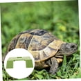 thumbnail image 4 of FONDOTIN Green Plastic Turtle Tank Ramp Turtle Tank Platform 1Pcs, 4 of 8