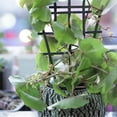 thumbnail image 7 of ETHKIA Garden DIY Mini Climbing Trellis Superimposed Potted Support Garden Trellises for Potted Climbing Vines, 7 of 7