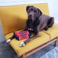 thumbnail image 3 of Juguete para Perros Outward Hound Mediano Firehose Fetch, 3 of 8