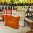 thumbnail image 2 of Jordan Manufacturing Orange Rectangular and Cream Pumpkin Reversible Square 2-piece Autumn Outdoor Throw Pillow Set, 2 of 16