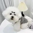thumbnail image 4 of Chaleco para perros de primavera y otoño, cómodo jersey de algodón a rayas para razas medianas y pequeñas como el osito de peluche Bichon Gadget, 4 of 5