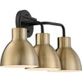 thumbnail image 6 of Nuvo Fixture, Vanity, Incandescent, 100W, 120 60/6793, 6 of 10