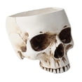 thumbnail image 3 of de resina blanca en apariencia con de , contenedor, decoración, cuenco de dulces para bar, club nocturno, de Halloween CUTICAT Suculento Titular, 3 of 8