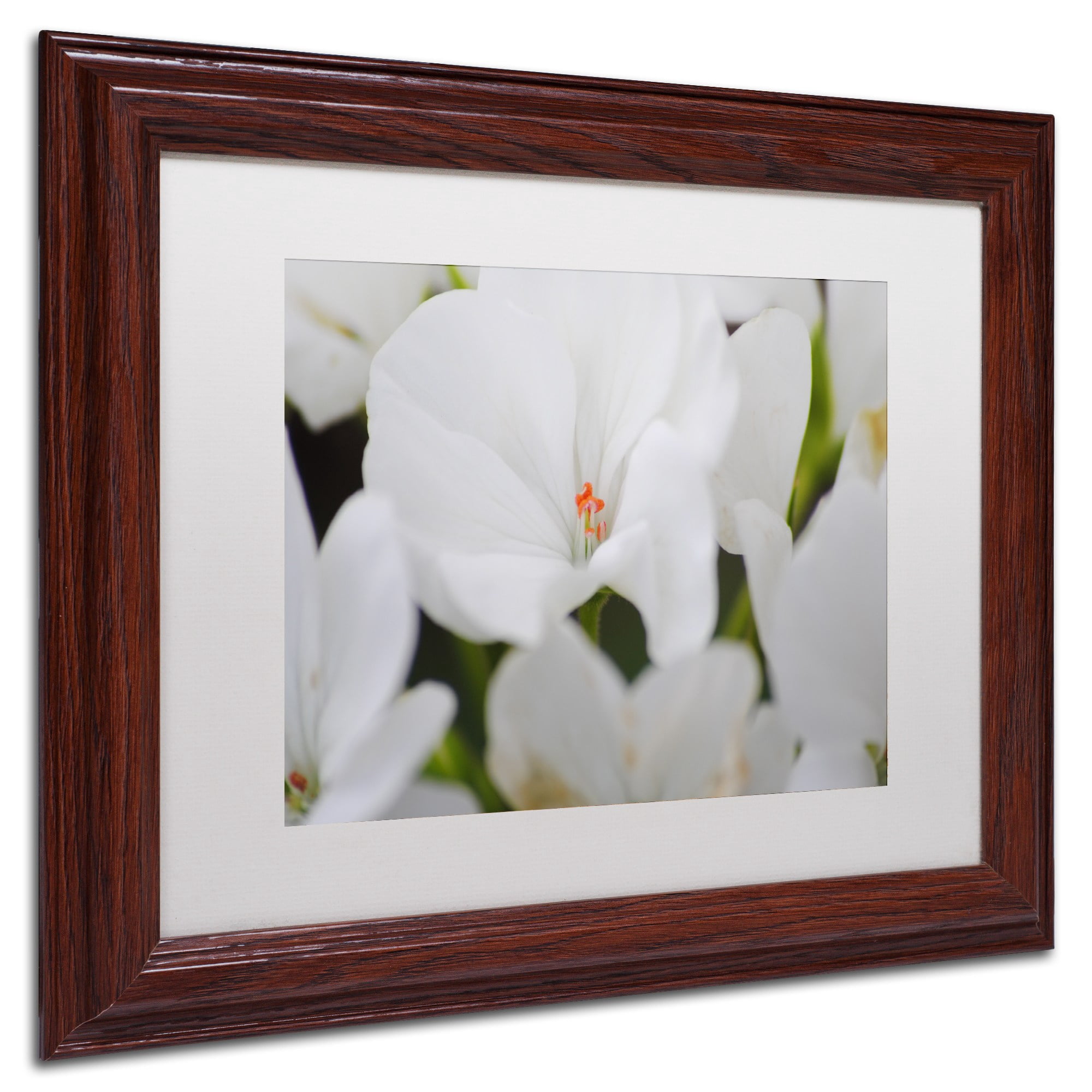 Trademark Fine Art "Clustered Jewel" Canvas Art by Monica Mize, White Matte, Wood Frame