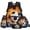 Fire Water Soccer Ball, variant on Yspwyqan Galaxy Wolf 4Pcs Kids Backpack Set with Lunch Box Pencil Case Water Bottle, 17 Inch Lightweight Cosmic Space Bookbag for Elementary Middle School Travel Hiking