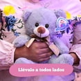 thumbnail image 5 of PELUCHERIA| Oso de Peluche clásico Gris, 5 of 5