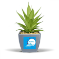 thumbnail image 1 of Pot de Fleurs Ananas Faux Beijing Tian An Silhouette Mini Décor, 1 of 3