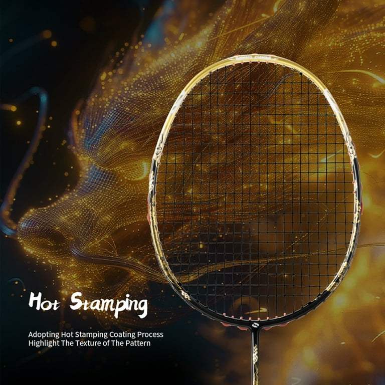 SALYWEE Golden Dragon and Fire Phoenix Series Full Carbon