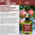 thumbnail image 3 of Hair Chemist Apple Cider Vinegar Revitalize & Nourish Revitalizing Premium Hair Oil with Apple Seed Oil 7.1 Ounce, 3 of 7