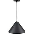 thumbnail image 5 of Millennium Lighting RWCC13-SB R Series 13" Wide Pendant - Black, 5 of 6