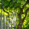 thumbnail image 5 of Outdoor Garden Hanging Bird Feeder, Easy Install with Soda Bottle, Yard and Patio Bird Feeding, 5 of 5