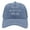 Blue - Best Auntie, variant on Best Auntie Ever Hat Funny Gift Trucker Cap for Aunts