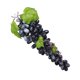 thumbnail image 5 of Uva artificial simulación fruta fotografía instantánea uva falsa boceto práctica utilería, negro sidaley HA8461-04B, 5 of 6