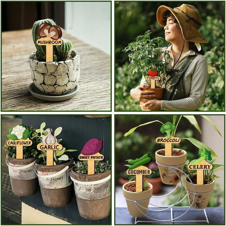 15 Pcs Plant Name Markers 15 Styles Vegetable Names and Patterns