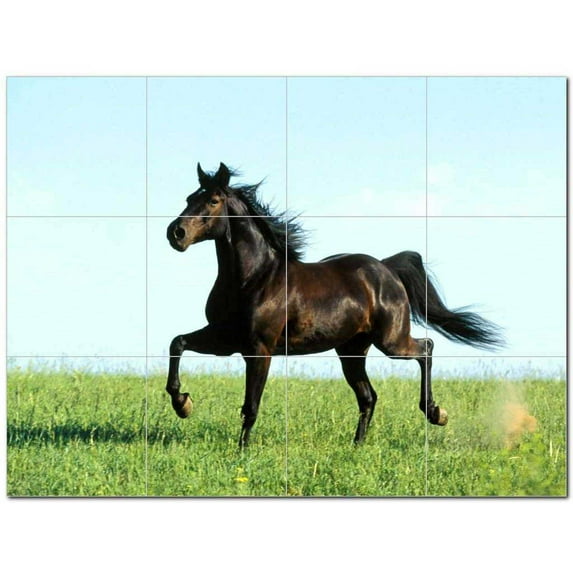 Horse Photo Ceramic Tile Mural Kitchen Backsplash Bathroom Shower 405257-S43