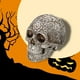 thumbnail image 4 of Bearachild Decoración de calavera Retro, modelo de cabeza de resina de dinosaurio, réplica de esqueleto, colección de figuritas, decoración de Halloween Decoración Bearachild HA011432-00B, 4 of 6