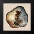 thumbnail image 2 of Lewis, Sheldon 15x15 Black Modern Framed Museum Art Print Titled - Tree Ring Stump 1, 2 of 5
