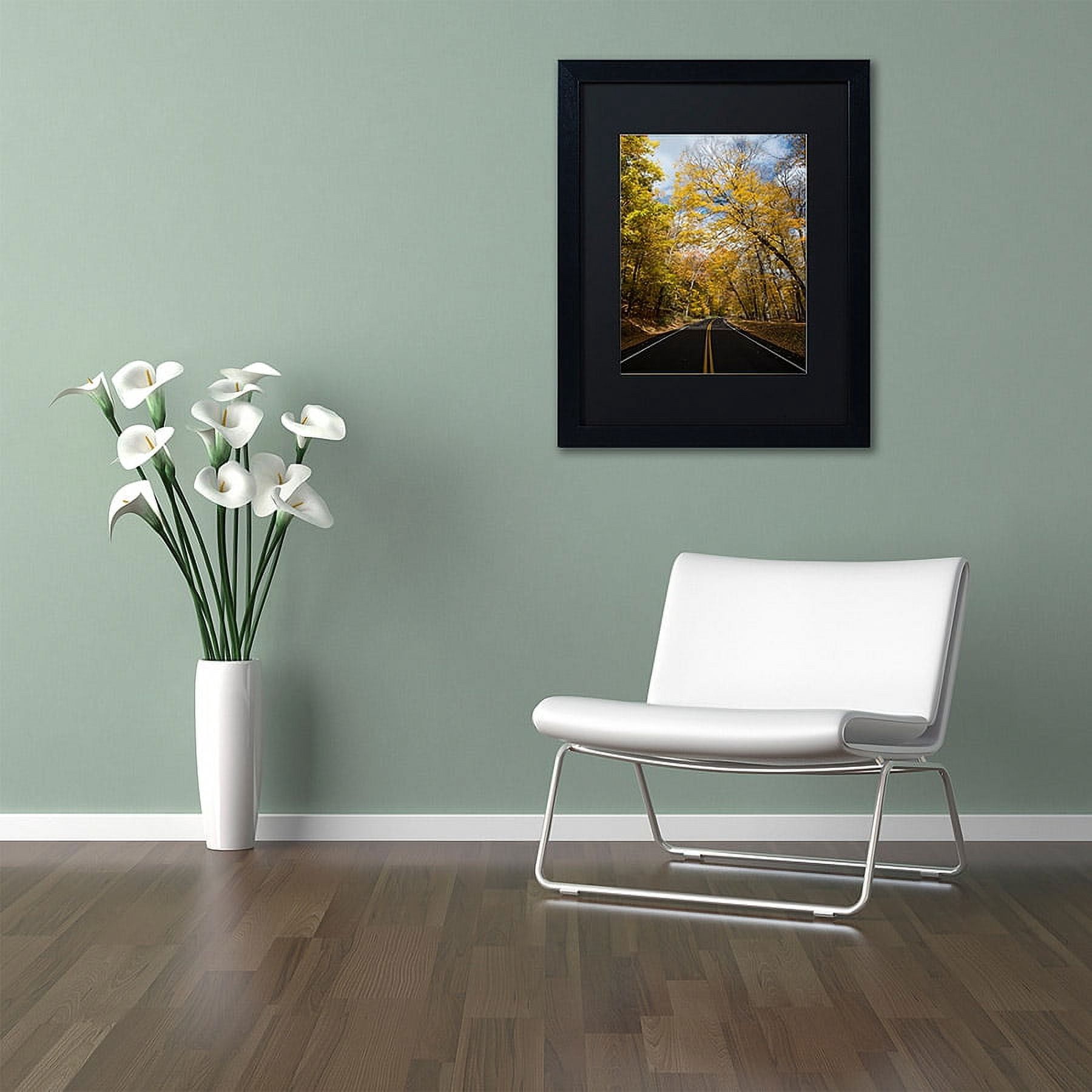 Trademark Fine Art "Autumn Along the Valley Parkway 2" Canvas Art by Kurt Shaffer, Black Matte, Black Frame