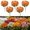 Orange, variant on Artificial Fall Daisy Outdoor Flowers, 5 Bundles UV Resistant Fake Mums with Eucalyptus, Waterproof Faux Silk Plants for Porch Garden Window Box Autumn Home Decor, Gift for Mom