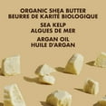thumbnail image 5 of SheaMoisture Raw Shea Butter Deep Moisturizing Hair Masque for Curly Hair Raw Shea Butter Deep Conditioner to Moisturize and Renew Hair 11.5 oz, 5 of 11