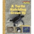 thumbnail image 1 of Pre-Owned A Turtle Hatchling Grows Up (Scholastic News Nonfiction Readers) (Unknown) 0516249487 9780516249483, 1 of 1