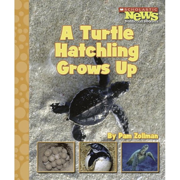 Pre-Owned A Turtle Hatchling Grows Up (Scholastic News Nonfiction Readers) (Unknown) 0516249487 9780516249483