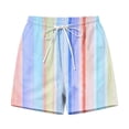 thumbnail image 4 of Jerdar Women's Casual Shorts Striped High Waisted Summer Beach Cover Up Shorts with Pockets L, 4 of 6