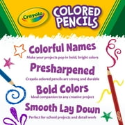 Crayola Colored Pencils, Assorted Colors, Pre-Sharpened, Adult Coloring, 24 Count