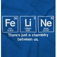 thumbnail image 2 of Feline Periodic Table Funny Cat Lover Hoodie Sweatshirt Women Men Brisco Brands M, 2 of 6