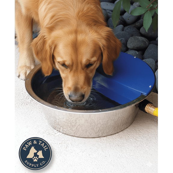 Bear Bear Pet Sir Aqua II Automatic Float Waterer 1.8 Gallon Silver Blue