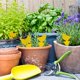 thumbnail image 5 of 60 trampas para moscas enchufables con diseño de animales, tablas amarillas ideales para plantas en macetas contra mosquitos, pulgones, minadores de hojas, balcones, jardines e interiores, 5 of 8