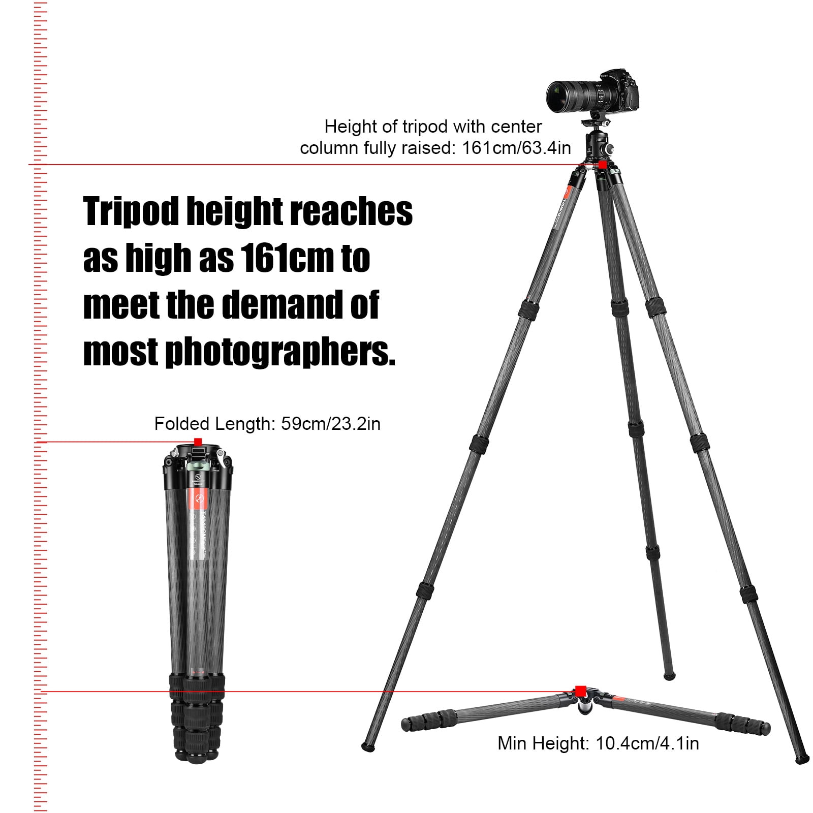 SUNWAYFOTO T4040CM Heavy Duty Carbon Fiber Tripod for Video Camera Photography and Hunting, 4 sections, 88lb(40kg) Load