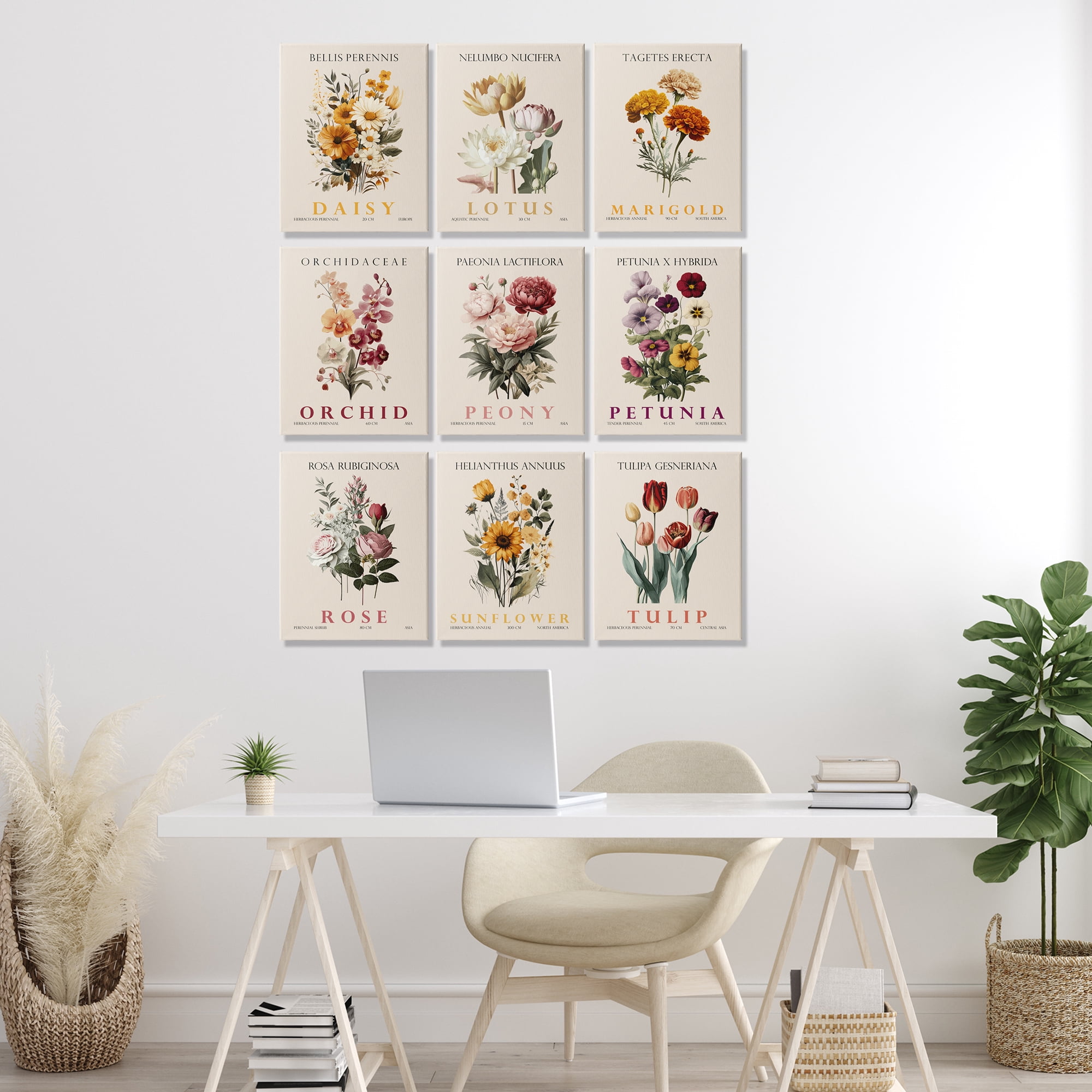 Stupell Industries Nature Botanicals Bundles 9 Piece Canvas Wall Art Set, design by Christopher Giampietro