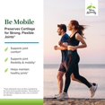thumbnail image 3 of Terry Naturally Be Mobile - 60 Capsules (Pack of 2), 3 of 7