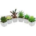 thumbnail image 1 of Mini plantas suculentas falsas de plástico artificial en maceta, surtido de plantas suculentas para decoración de escritorio del hogar, juego de 6 Zhivalor YQ-0250, 1 of 4