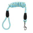 thumbnail image 1 of Outdoor High Strength Nylon Pet Dog Traction Rope Supply for Outside Walkingblue Large, 1 of 1