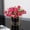 Noir, variante sur JZCHUNTOY Vase d'Arrangement Floral en Fer à Ligne Courbée, Jardinière Moderne Minimaliste, Contenant de Plante en Métal Résistant à la Rouille et Durable pour Décoration de Salon, Bureau, Mariage, Bureau