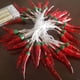 thumbnail image 2 of Cadena de luces LED de colores con pimiento rojo, luces intermitentes, luces decorativas para el ambiente navideño, iluminación para el diseño del hogar, 2 of 6
