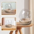 thumbnail image 3 of MasteelfCA Glass Micro Landscape Bottle Multi-functional Household Small Fish Bowl, 3 of 8